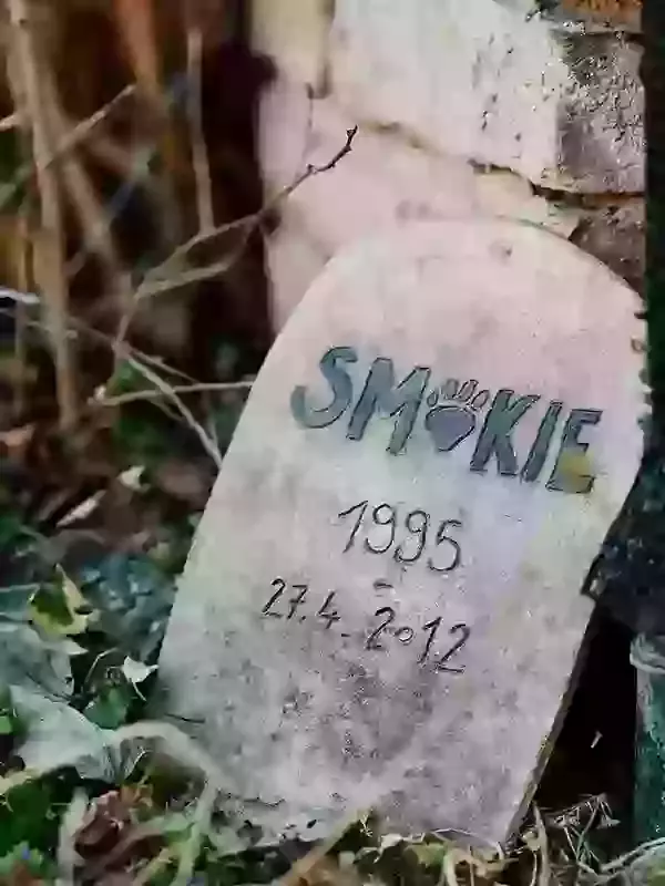 What Is Pet Exhumation?